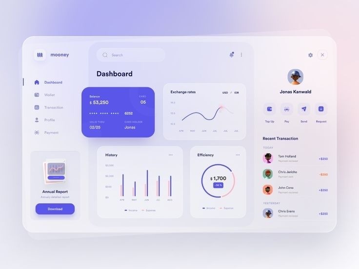 Finansdashboard med saldo, transaktioner og grafer til vurdering af kreditrisiko